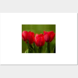 Red Tulips Posters and Art